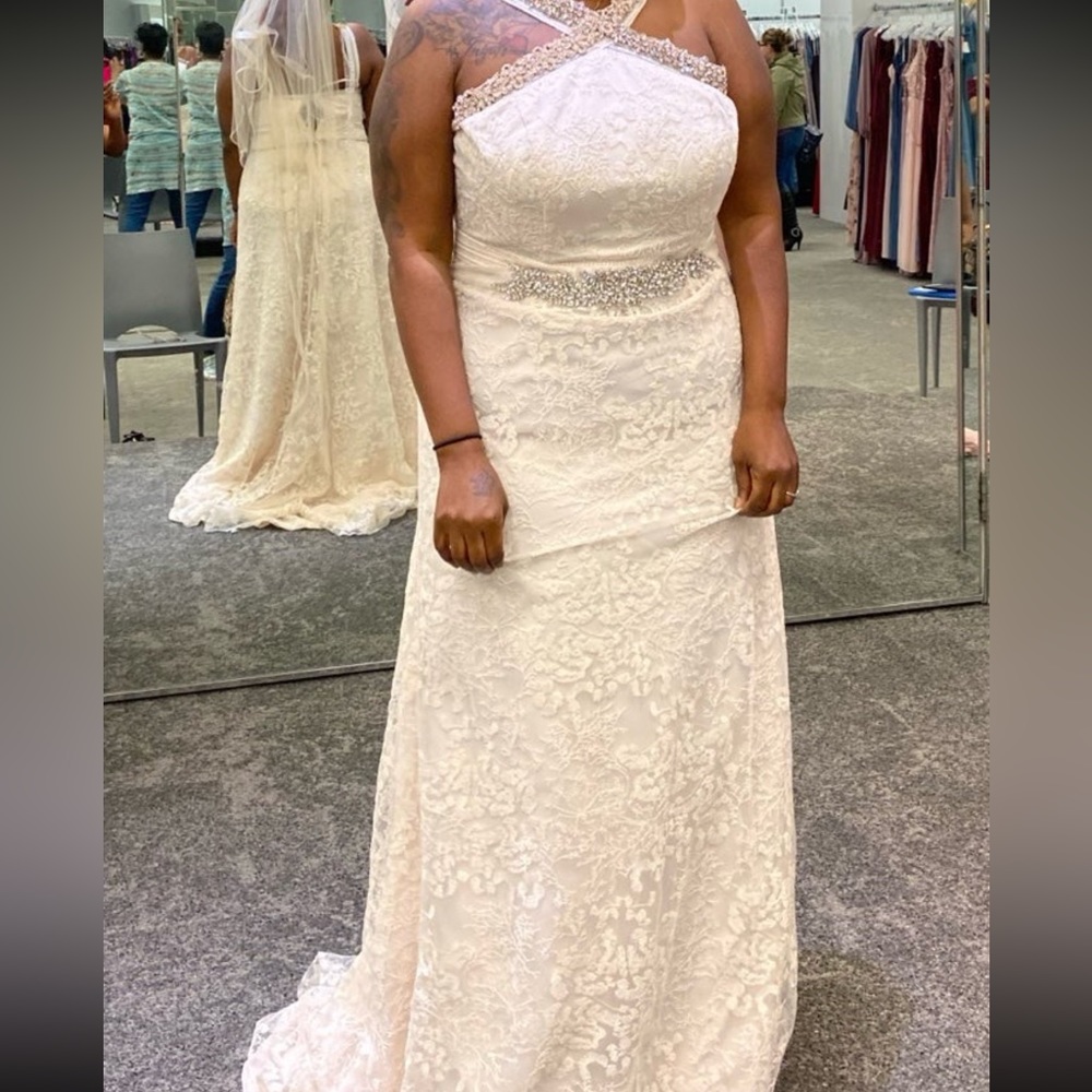 David's Bridal wedding Dress